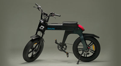 2025 New design in D100, ZOULAGLIDE Interpreting the latest urban off-road electric bike