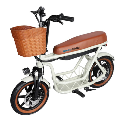 Electric Family Commuter Bike CX8