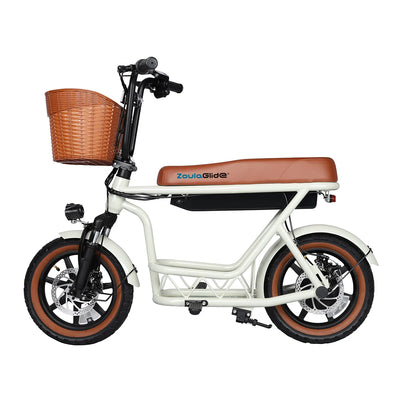 Electric Family Commuter Bike CX8