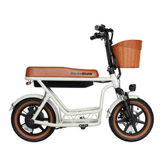 Electric Family Commuter Bike CX8