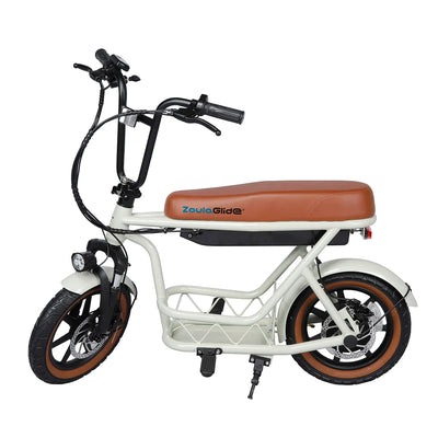 Electric Family Commuter Bike CX8