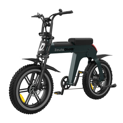 ebikes with fat tires