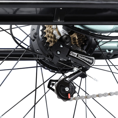 safe and stable electric bike