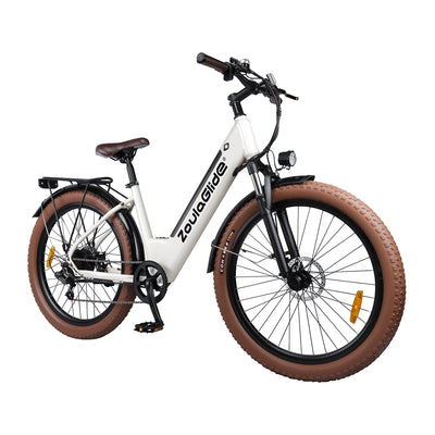 stylish ebike for women
